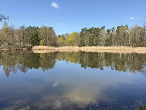 5 Gehminuten vom Haus - 