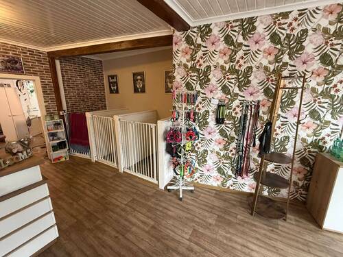 Ladenfläche Nr. 2 - Hundesalon
- 