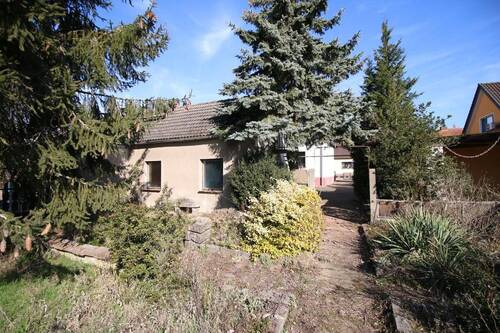 Garten - 