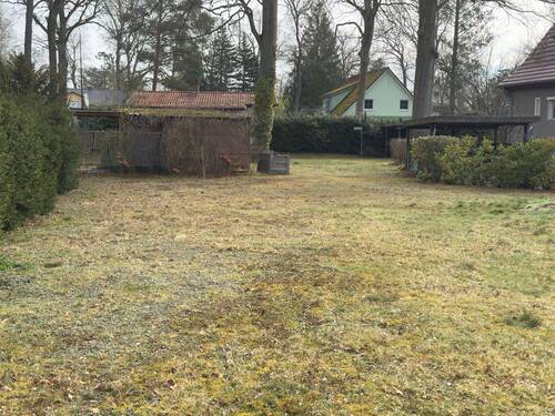 Blick von der Straße aus - Ohne Fällung und Abriss mit Bebauungsplan- auch Stadtvillen!