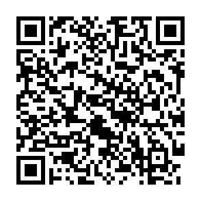 QR-Code - 