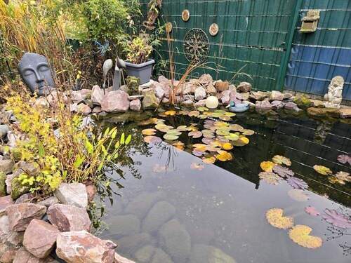 Garten Teich - 