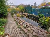 Garten Teich - 