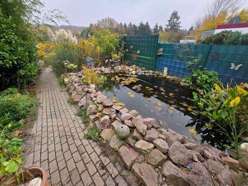 Garten Teich - 