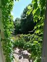 Sicht zum Garten, Balkon (2) - 7 Zimmer Einfamilienhaus in Zwiesel