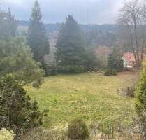 Großes Baugrundstück für Naturliebhaber in Burgthann - Ortsteil Grub