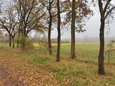 unbebaubares Feld auf der anderen Seite - Grundstück zum Kaufen in Kremmen