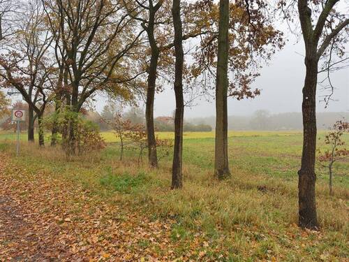 unbebaubares Feld auf der anderen Seite - Grundstück zum Kaufen in Kremmen