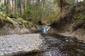 Bild 12 - 