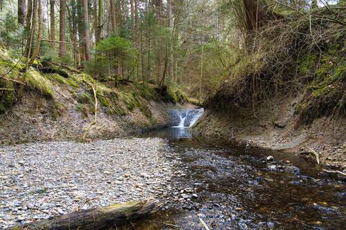 Bild 12 - 