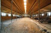 Bild 14 - 