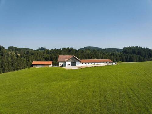 Bild 2 - 7 Zimmer Bauernhaus, Landhaus zum Kaufen in Wiggensbach