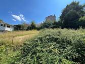Blick auf die Wiese - 