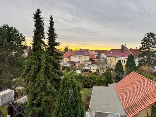 Blick auf den Garten - 