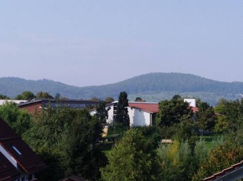 Blick aus Wohn und Esszimmer - 