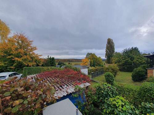 20231031_101152.jpg - 