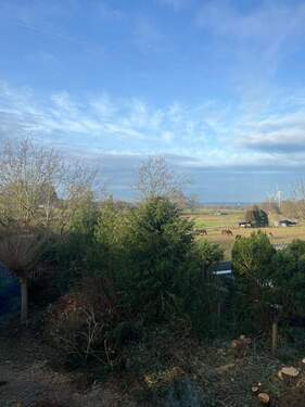 WhatsApp Image 2025-12-28 at 14.18.49.jpeg - 