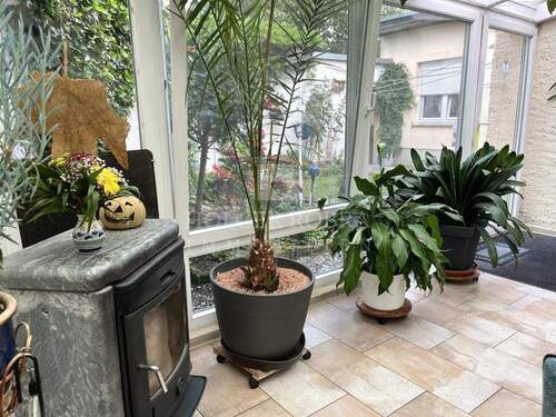 Wintergarten mit Kamin - 