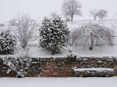 Garten im Winter - 