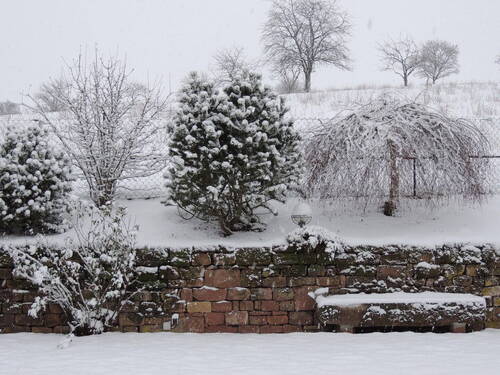 Garten im Winter - 