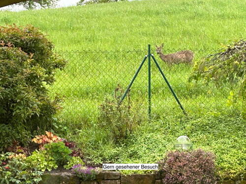 Willkommener Besuch - 