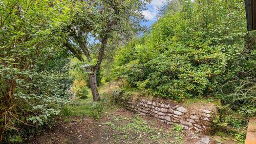 P1198635 - 