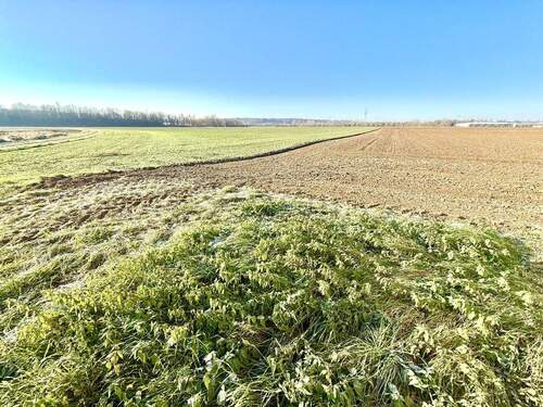 Die Natur vor Ihrer Haustür - 