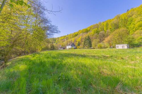 Pferdekoppel - 