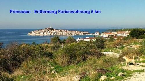 Bild 14 - 