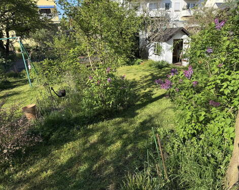 Das Gartenhaus - 