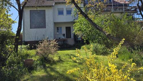 Die Garten Oase - Gartenidylle im Woogviertel, Altbauwohnung im EG, provisionsfrei.
