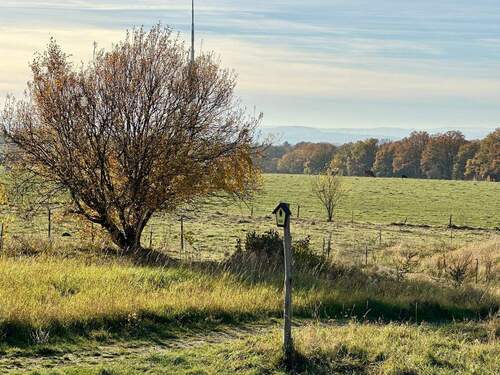 wunderschöne Lage am Naturschutzgebiet - 