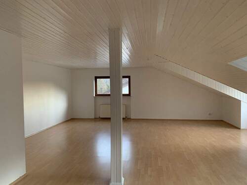 Wohnzimmer - Großzügige 4-Zimmer-DG-Wohnung mit Dachterrasse - Natur & Stadtnähe in Heidelberg-Ziegelhausen