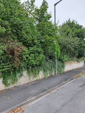 Vorderansicht / Strassenseite - 