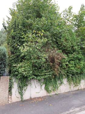 Vorderansicht / Strassenseite - 