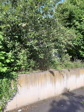 Vorderansicht - 9 Zimmer Einfamilienhaus zum Kaufen in Zirndorf