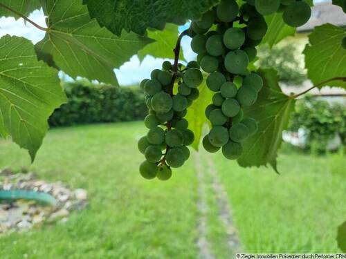 09d Gartenimpressionen - 