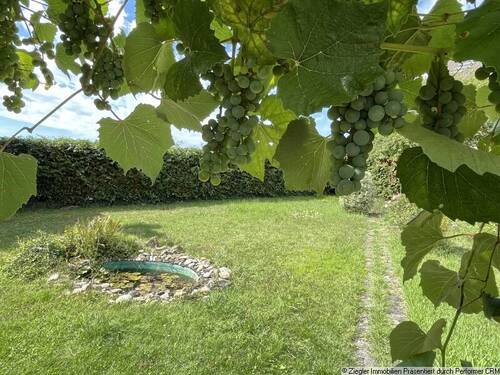 26 Gartenimpressionen - 