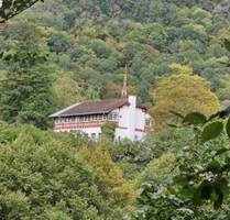 Besondere Immobilie: Das Schweizerhaus in einmalige Alleinlage mit Weitblick - Bad Bertrich