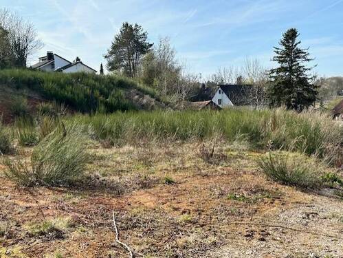 thumbnail_IMG_9448.jpg - Grundstück zum Kaufen in Burgthann