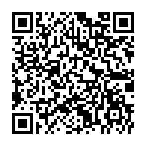 QR-Code - 