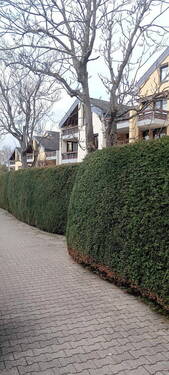 Außenansicht Straße - 2 Zimmer Etagenwohnung zum Kaufen in Gerlingen