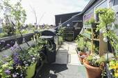 Balkon - Rosellerheide: Großzügige 4-Zi.-Whg. mit Sonnen-Loggia und 2 Stellplätzen