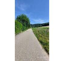 Schönes Baugrundstück in Sasbachwalden