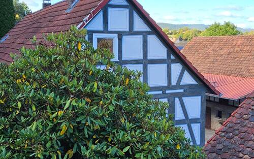 Seitenansicht - 
