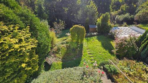 Blick in den Garten - 