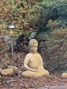 Garten - Ihr Rückzugsort zwischen Ostsee und Natur - ideal für Wochenenden oder dauerhaftes Wohnen