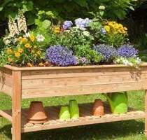 Grünes Idyll für max. 4 Personen + Gartenanteil - Chemnitz Kappel