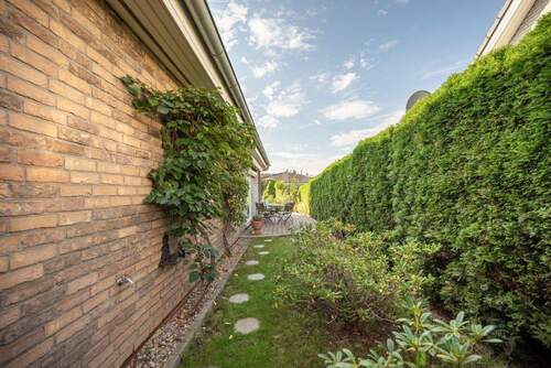 Blick zur Terrasse - 