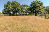 IMG-43 - 